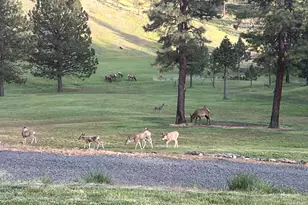 44765 Alder Creek Rd, Fossil, OR 97830 - Photo 65