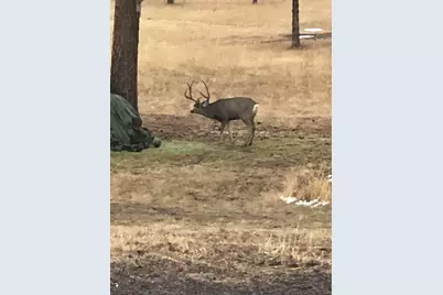 44765 Alder Creek Road, Fossil, OR 97830 - Photo 59
