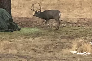 44765 Alder Creek Rd, Fossil, OR 97830 - Photo 59