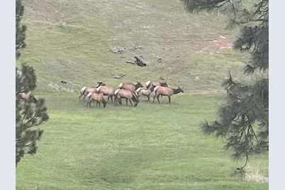 44765 Alder Creek Road, Fossil, OR 97830 - Photo 63