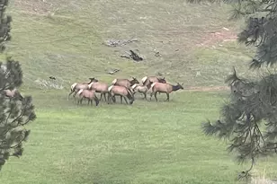 44765 Alder Creek Rd, Fossil, OR 97830 - Photo 63