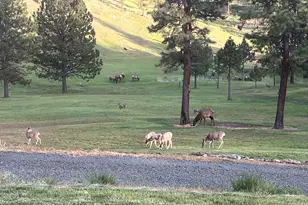 44765 Alder Creek Rd, Fossil, OR 97830 - Photo 53