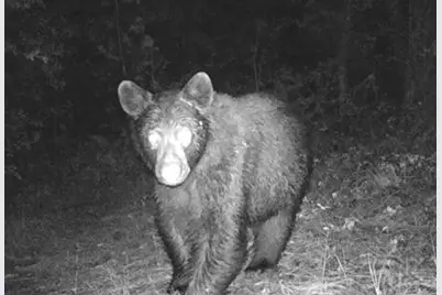 44765 Alder Creek Road, Fossil, OR 97830 - Photo 51