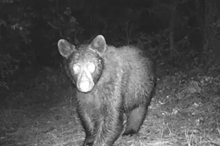 44765 Alder Creek Rd, Fossil, OR 97830 - Photo 51