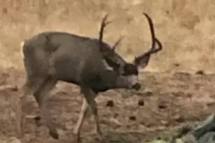 44765 Alder Creek Rd, Fossil, OR 97830 - Photo 61