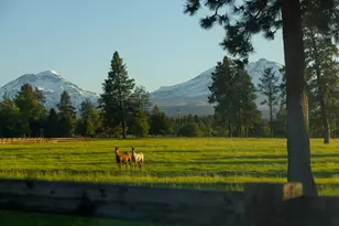 16400 Jordan Rd, Sisters, OR 97759 - Photo 89