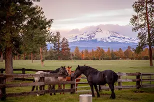 16400 Jordan Rd, Sisters, OR 97759 - Photo 65