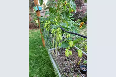 19494 Baker Road, Bend, OR 97702 - Photo 21