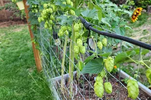 19494 Baker Rd, Bend, OR 97702 - Photo 21