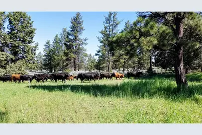 20893 Sprague River Road, Chiloquin, OR 97624 - Photo 47