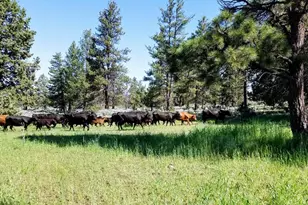 20893 Sprague River Rd, Chiloquin, OR 97624 - Photo 47