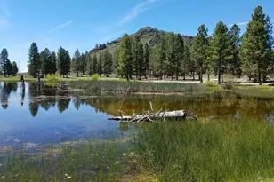 20893 Sprague River Rd, Chiloquin, OR 97624 - Photo 35