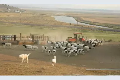 20893 Sprague River Road, Chiloquin, OR 97624 - Photo 51