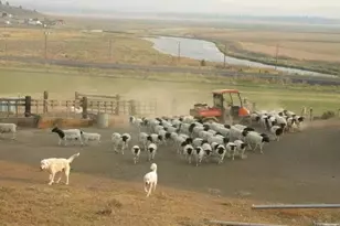 20893 Sprague River Rd, Chiloquin, OR 97624 - Photo 51