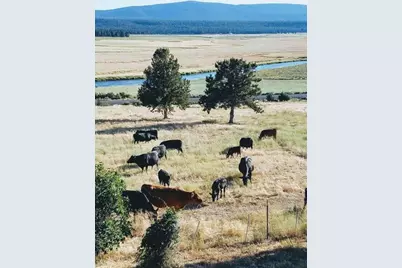 20893 Sprague River Road, Chiloquin, OR 97624 - Photo 49