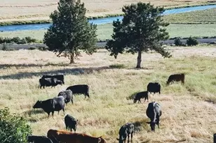 20893 Sprague River Rd, Chiloquin, OR 97624 - Photo 49