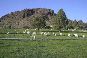 20893 Sprague River Rd, Chiloquin, OR 97624 - Photo 61