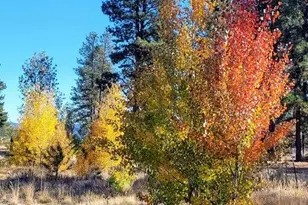 20893 Sprague River Rd, Chiloquin, OR 97624 - Photo 65