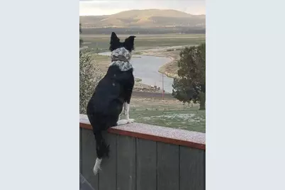 20893 Sprague River Road, Chiloquin, OR 97624 - Photo 9