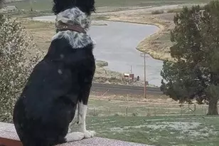 20893 Sprague River Rd, Chiloquin, OR 97624 - Photo 9