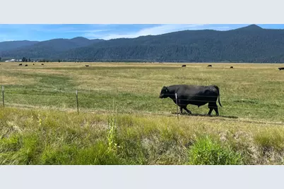 9800 Seven Mile Road, Fort Klamath, OR 97626 - Photo 27