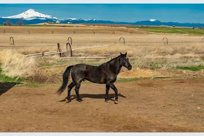 7626 SW Bear Drive, Culver, OR 97734 - Photo 9