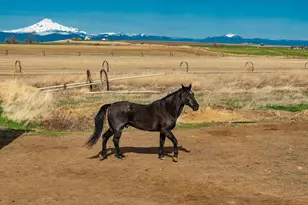 7626 SW Bear Dr, Culver, OR 97734 - Photo 9