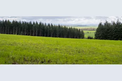 92884 Applegate Trail, Junction City, OR 97448 - Photo 23