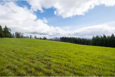 92884 Applegate Trail, Junction City, OR 97448 - Photo 21