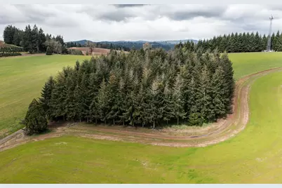 92884 Applegate Trail, Junction City, OR 97448 - Photo 19