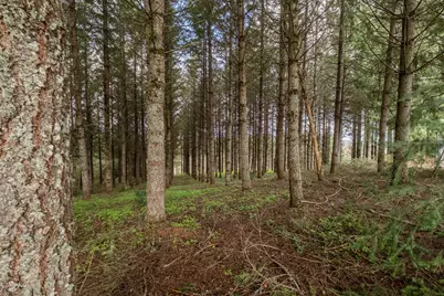 92884 Applegate Trail, Junction City, OR 97448 - Photo 25