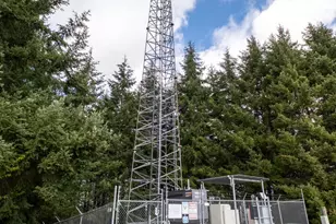 92884 Applegate Trail, Junction City, OR 97448 - Photo 9