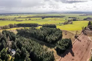 92884 Applegate Trail, Junction City, OR 97448 - Photo 5