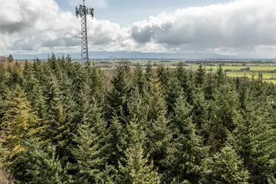 92884 Applegate Trail, Junction City, OR 97448 - Photo 7