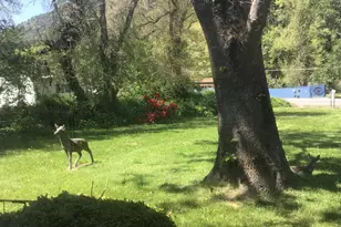 7015 Rogue River Hwy, Grants Pass, OR 97527 - Photo 11