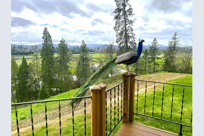 3320 Upper River Road, Grants Pass, OR 97526 - Photo 15