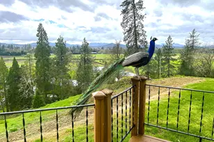 3320 Upper River Rd, Grants Pass, OR 97526 - Photo 15