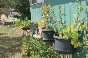 25484 Rim Dr, Chiloquin, OR 97624 - Photo 39