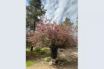 16506 Sprague Loop, La Pine, OR 97739 - Photo 45