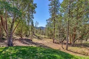 7537 Sterling Creek Rd, Jacksonville, OR 97530 - Photo 21