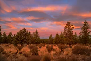 21685 Butte Ranch Rd, Bend, OR 97702 - Photo 5