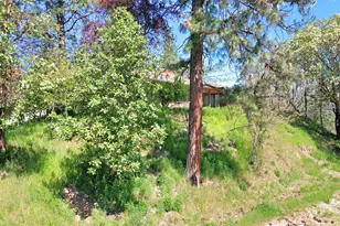 8264 Hwy 238, Jacksonville, OR 97530 - Photo 45