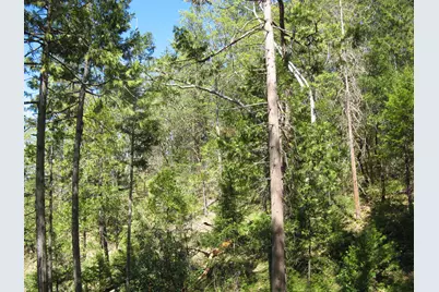 Bushnell Way #412, Grants Pass, OR 97527 - Photo 13