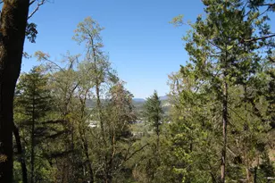 Bushnell Way, Grants Pass, OR 97527 - Photo 1