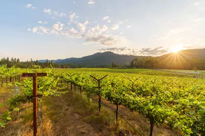 503 Quail Lane, Grants Pass, OR 97526 - Photo 87