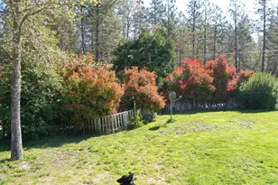 2970 Elk Ln, Grants Pass, OR 97527 - Photo 5