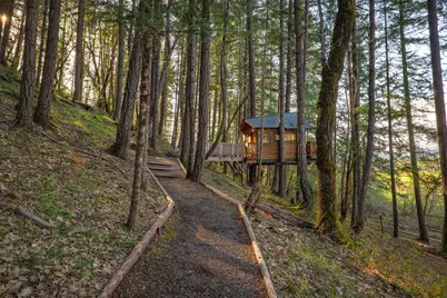 3305 Dick George Road, Cave Junction, OR 97523 - Photo 7