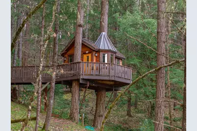 3305 Dick George Road, Cave Junction, OR 97523 - Photo 5