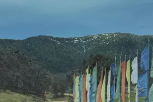 2000 Colestin Rd, Ashland, OR 97520 - Photo 3