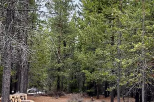 0 Tbd McNeale, Crescent Lake, OR 97733 - Photo 33